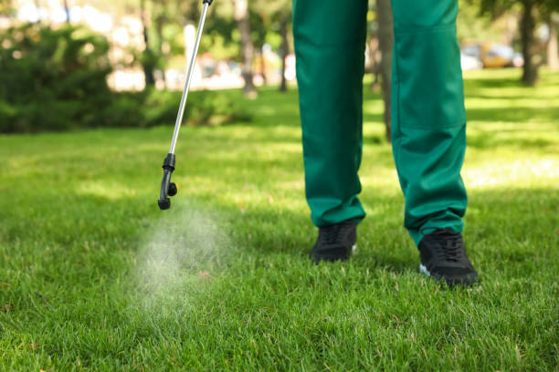Best Pest Control Cost  in Thornville, OH