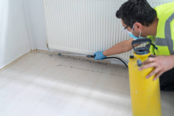 Best Residential Pest Control  in Thornville, OH